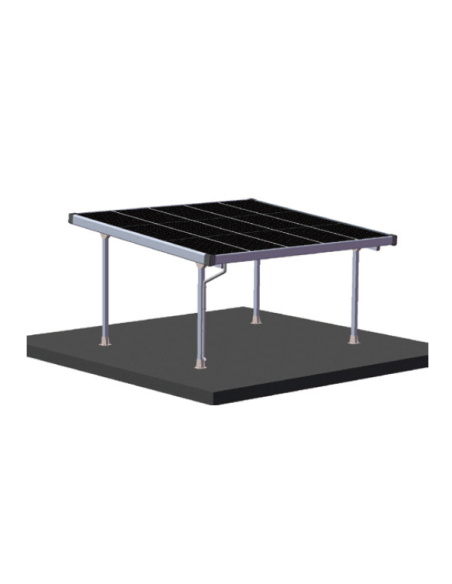 WINTOP Carport 2 AUTO SILVER con sistema di drenaggio