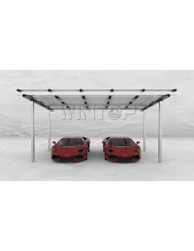 Struttura in Alluminio Completa per Carport 2 auto WINTOP - Silver