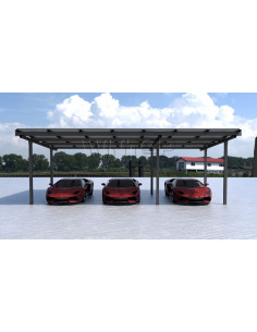 Struttura in Alluminio Completa per Carport 3 auto WINTOP 2