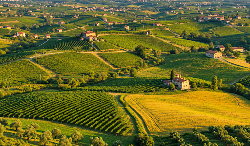  Fotovoltaico per imprese agricole: in Friuli - incentivo 40% e oltre; domande dal 14 aprile al 30 settembre